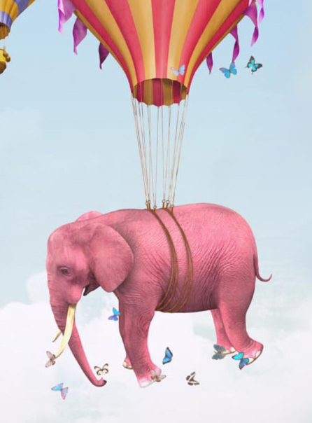 Contes en balade 2019