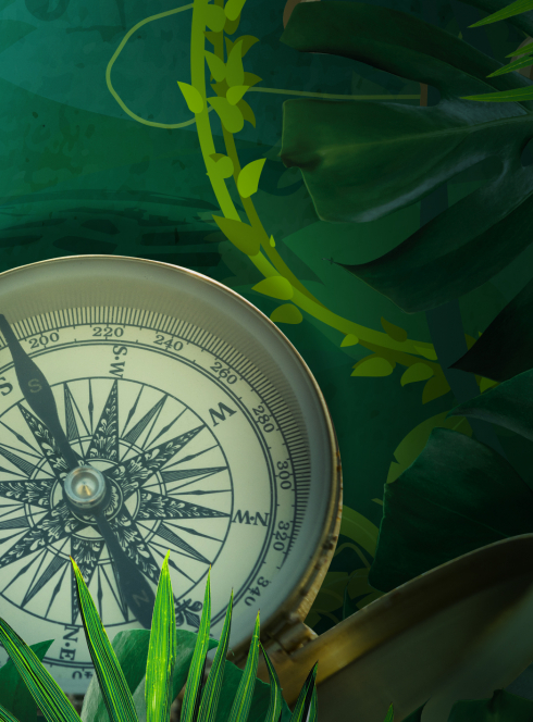 Born to be wild - Escape game