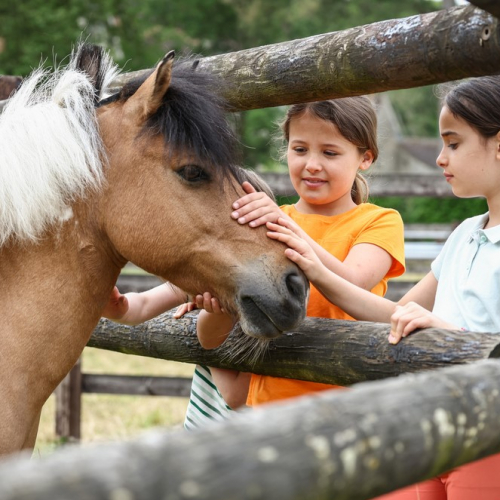 Journée du cheval : Deux petites filles caressent un cheval