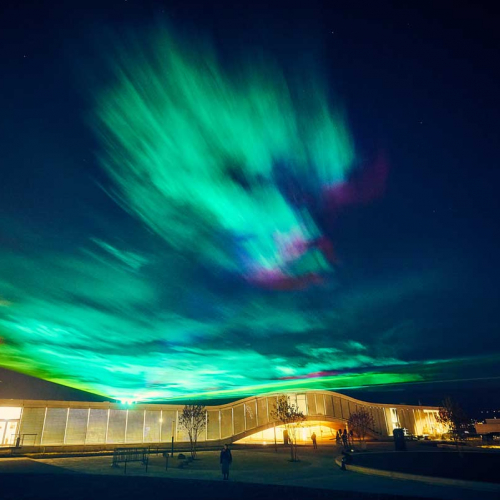 Boréalis - Dan Acher