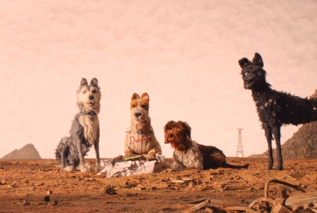 Les chiens de l'île