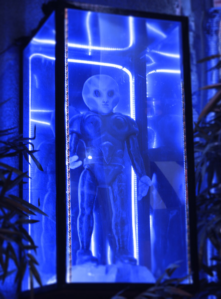 LaserStar83 - Toulon - décoration