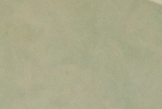 Concours photo mon beau sapin 2014 - sandrine