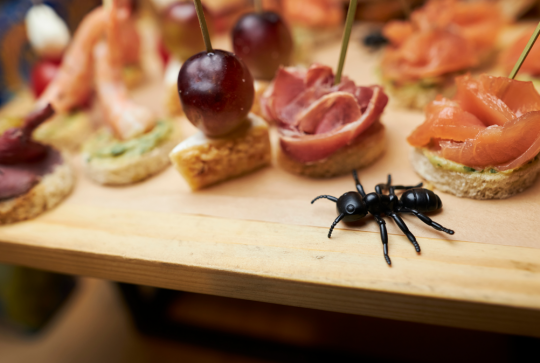 Farce enfants 1er avril