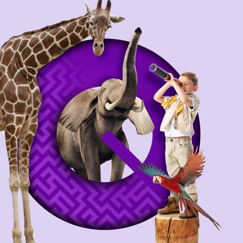 Qwartz Safari : vacances de printemps 2023