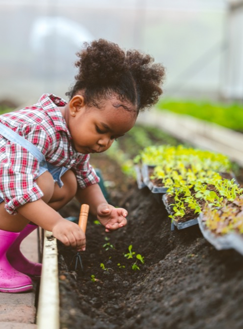Photo d'enfant plantant des fleurs