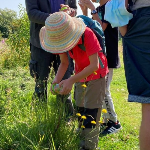 Le Voyage des Hérons