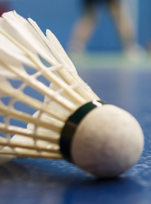 Don Bosco Badminton Nantes