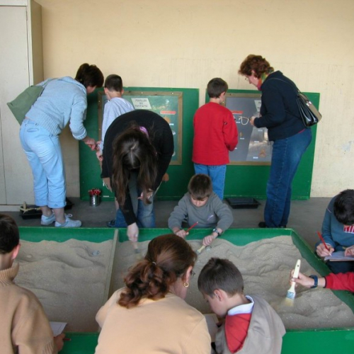 que-nous-racontent-les-fossiles