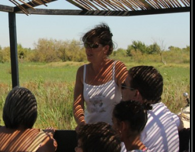 Festival Deltaïques