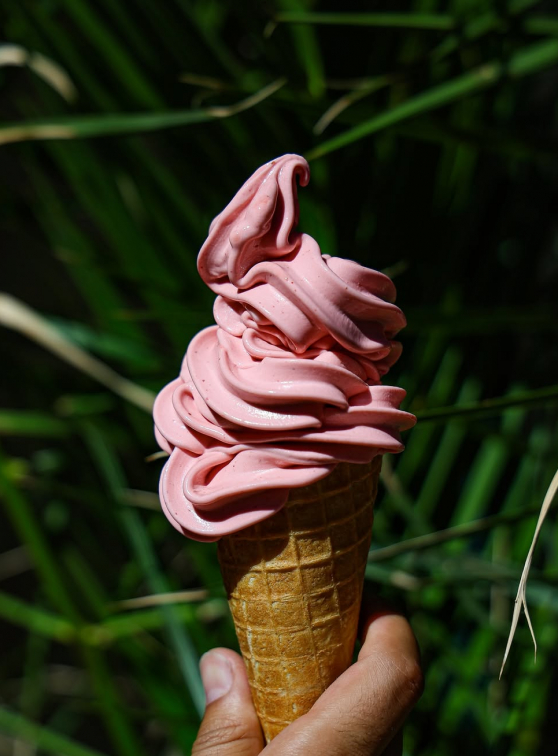 Maison Grimaud : glace