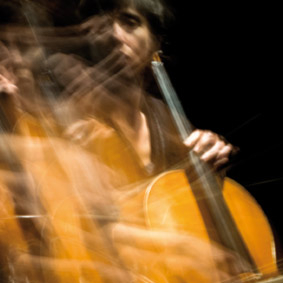 Le Cri du lustre, Elixir sonore