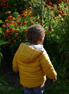 Journée Bio et santé - REnnes