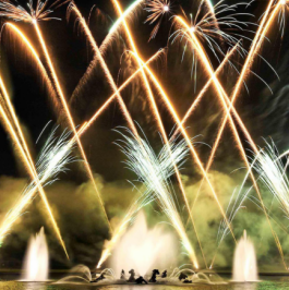 Révélations du Groupe F 2013