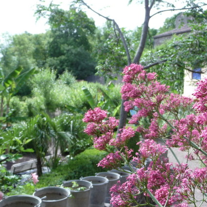 jardin des paradis