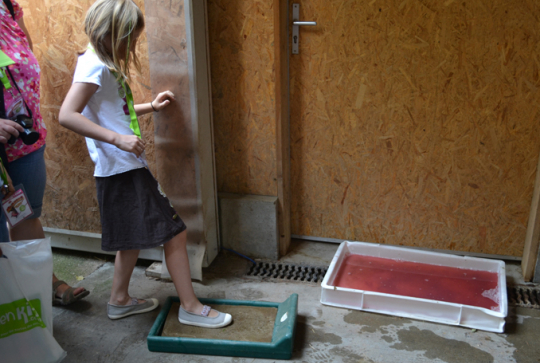 Zoo de Lyon la giraferie