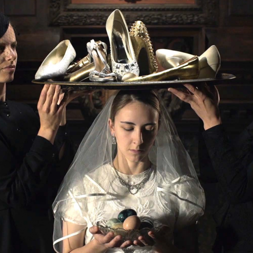 Delphine Balley, Le temps de l'oiseau (extrait)