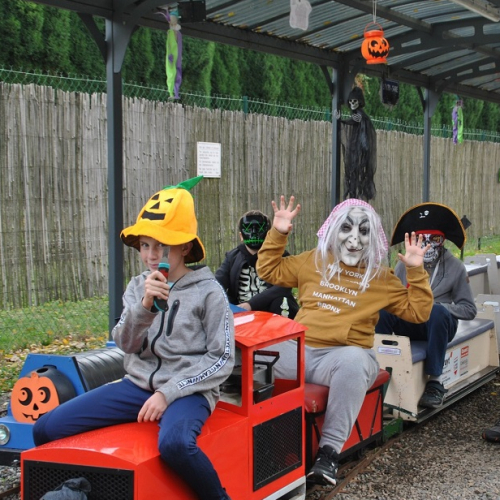 Le Mini Train des Monts du Lyonnais : Des enfants sur un mini train