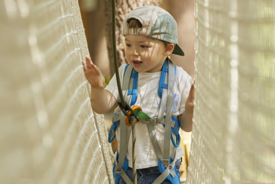 Natura Game : pont de singe