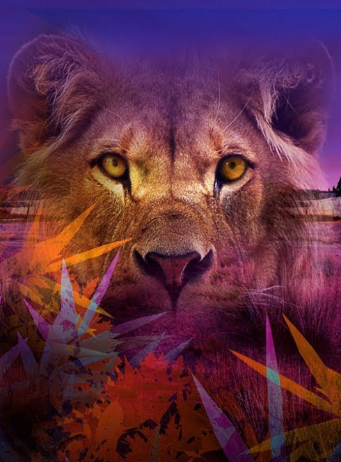 Nocturnes au Parc zoologique de Paris - Affiche 2019