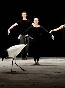 Light bird - Luc Petton