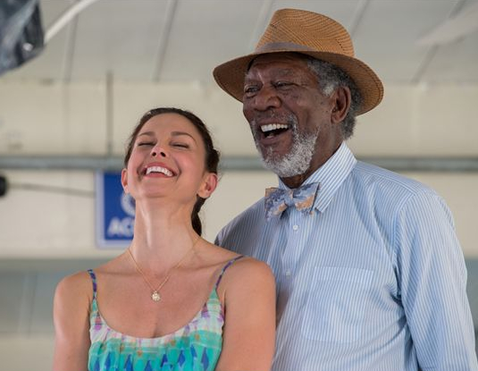 L'incroyable histoire de Winter le dauphin 2