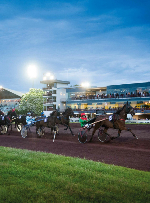 Hippodrome Bellerive