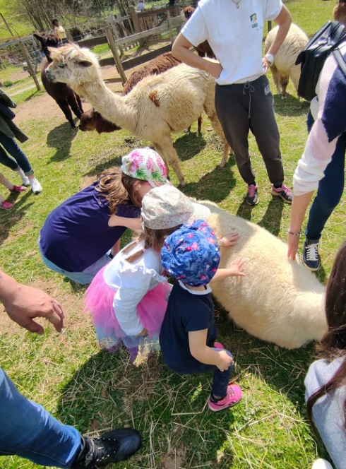 Ferme des lamas et alpagas de Lafayette