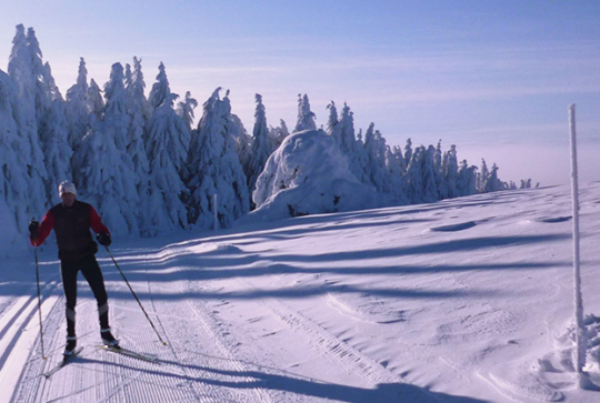 Ski de fond aux Crêtes du Forez