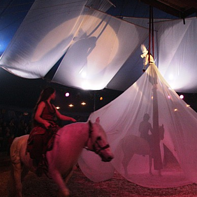 Emmène-moi - Cirque Pagnozoo