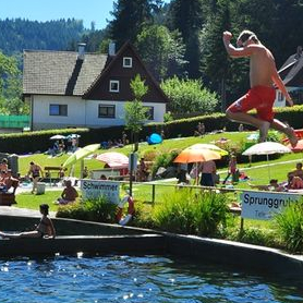 Piscine naturelle Ottenhöfen