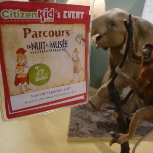 event_Nuitaumusée_Lille_janvier_2014-1