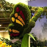 Floralies de Bourg-en-Bresse