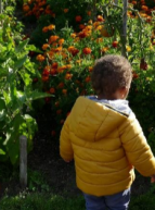 Journée Bio et santé - REnnes