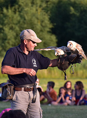 les soirées d'été à Vulcania