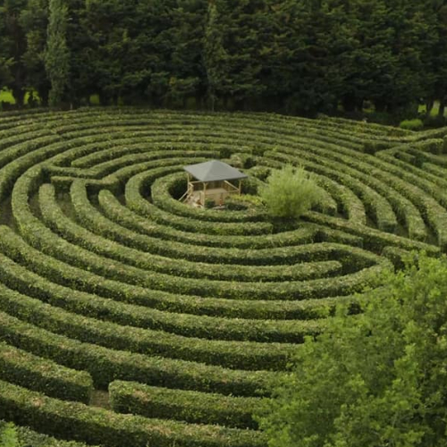 Labyrinthe Artmazia