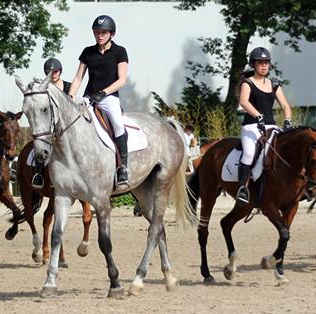 Centre Hippique du Touring Club de France