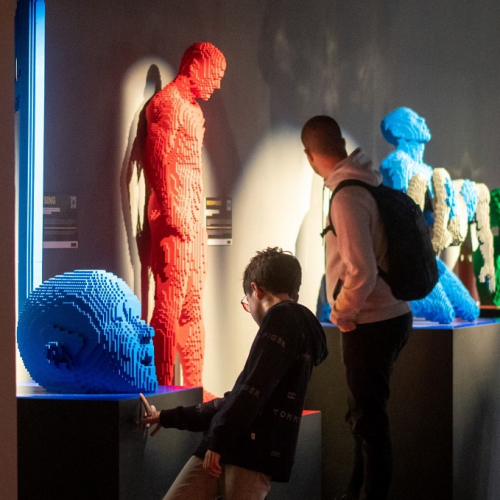 Art of the Brick Expo : Enfant devant des constructions impressionnantes en LEGO