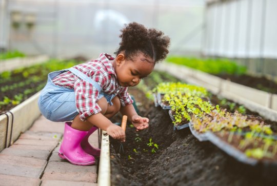 Photo d'enfant plantant des fleurs