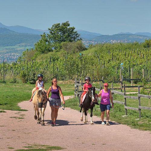 Ferme pédagogique de la Moulerette