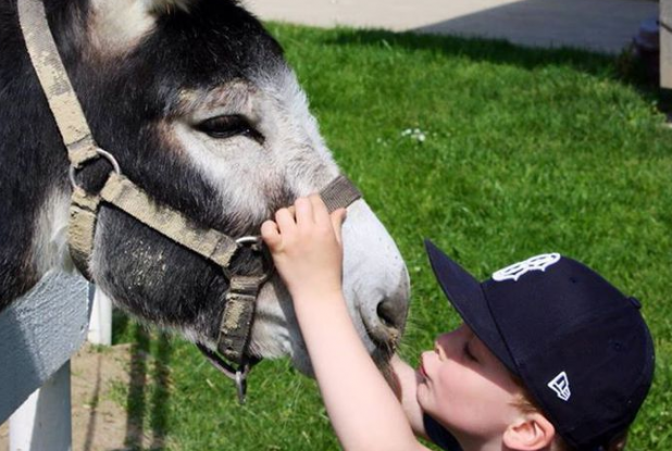 A la rencontre des animaux de la ferme Kieffer.