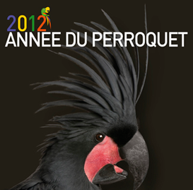 Perroquet Parc des oiseaux