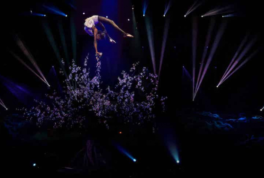 Gaïa - Cirque Phénix