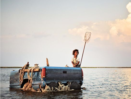Les bêtes du sud sauvage