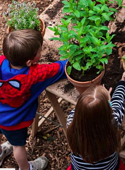 Jardins Jardin aux Tuileries 2022
