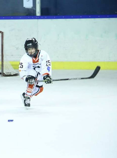 Toulouse Blagnac Hockey Club