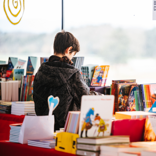 Fête du livre de Bron : petit garçon dans un rayon plein de livres