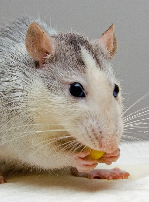 Il faut retrouver Edgar