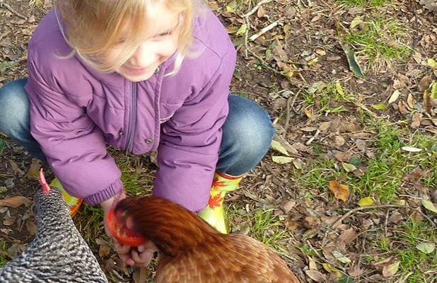 Ferme d'animation du Chateau de Bergues