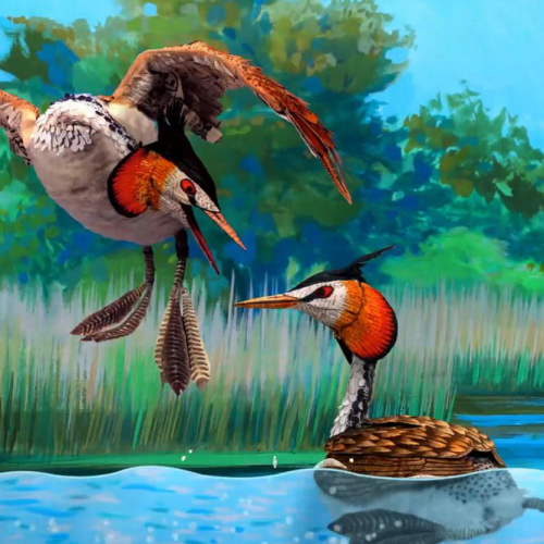 Bonjour le Monde ! - Héron